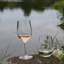 10 oz. Plastic White Wine Glass