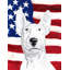 2 côtés en polyester de 2 côtés american drapeau de jardin-1288238539