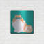 «Blue Persian» par Debbie Gray-960081522