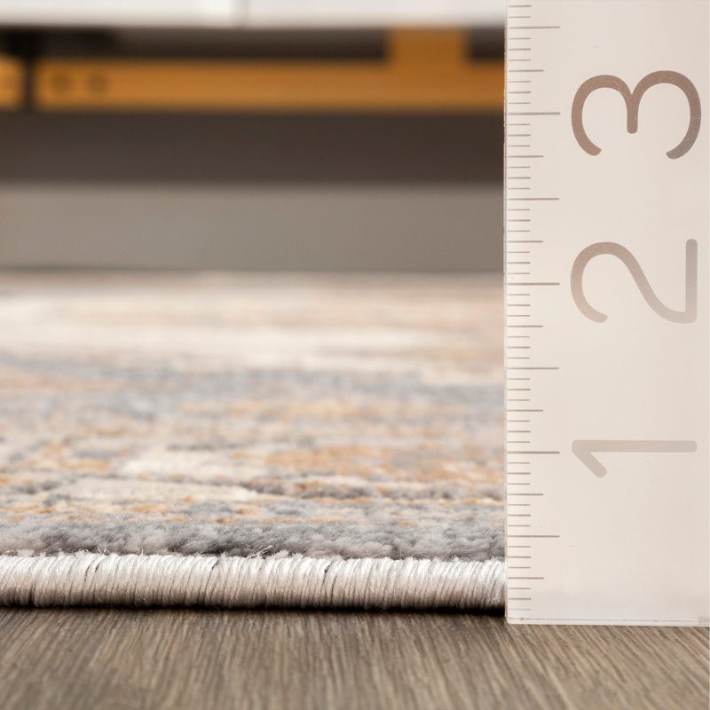 Evelin Southwestern Indoor Rug, Rectangle 4'3" x 6'