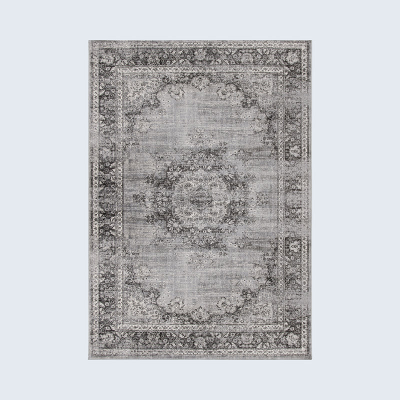 Iardella Performance Oriental Rug, Rectangle 2'7" x 4'