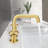 Widespread 2-handle Bathroom Faucet with Drain Assembly
