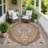 Machine Washable Indoor/Outdoor Chantille ACN2715 Global Rug-1229486020-1229486025