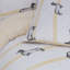 Bayport Polyester Wildlife Duvet Cover Set with Pillowcases-1500434934-1500397709