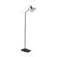 Himanshee 136cm Black Task Floor Lamp