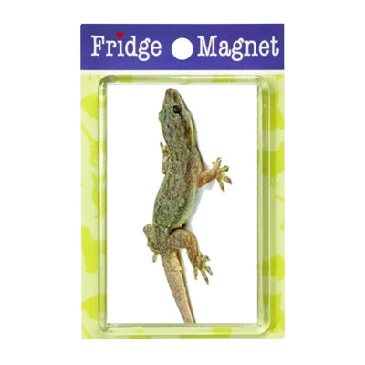 Fridge Magnet