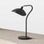 Girard Adjustable Metal Arched Lamp-1001105194