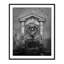 Roman Eagle Fountain - Picture Frame Photograph on Paper-74856091-87888655