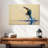 Blue Kingfisher-107924666