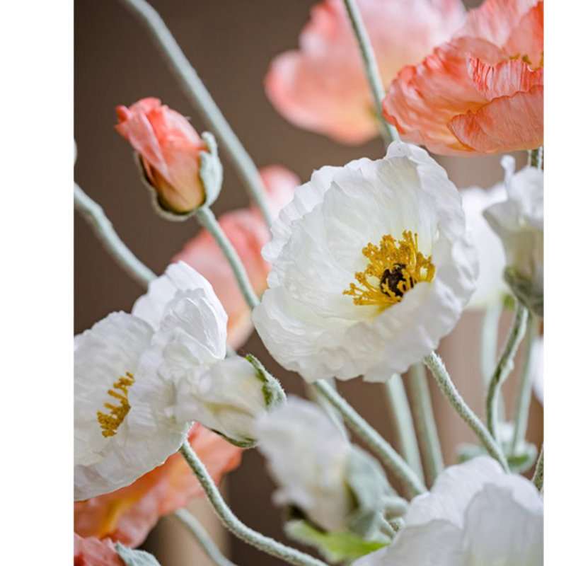 Poppy Arrangement, 3, Blanc