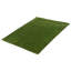 Kashkuli Gabbeh Green Rug 4'9" x 6'5"