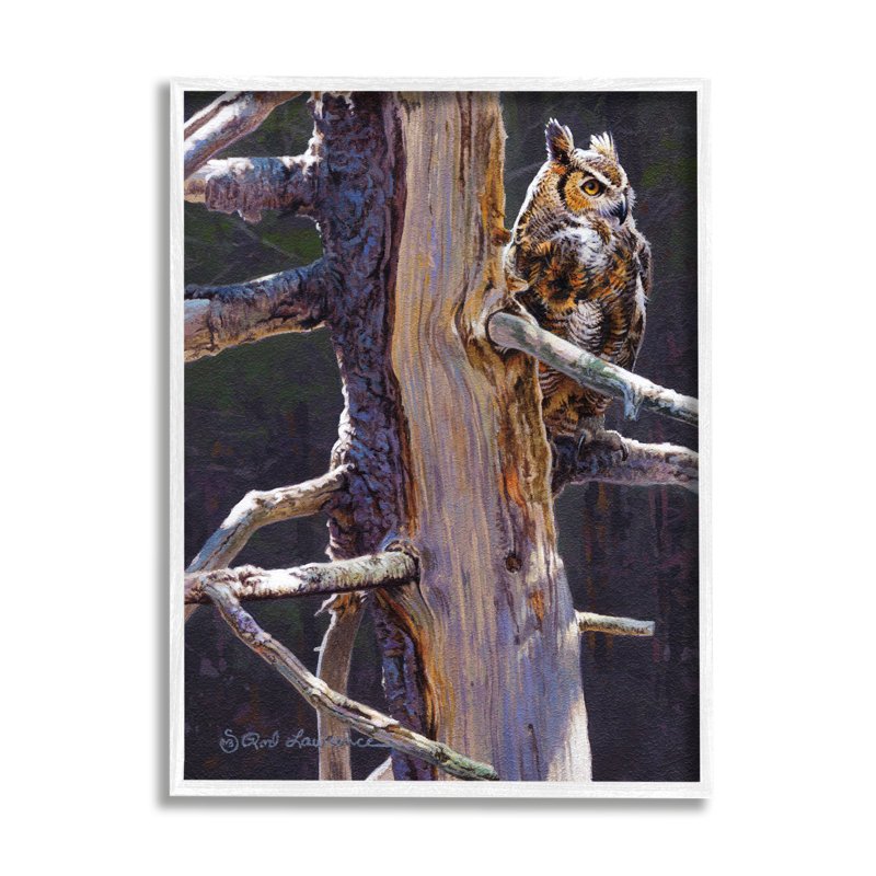 «Owl in Rustic Tree» par Rod Lawrence, reproduction de photo sur toile, Giclée encadrée blanc bord de mer