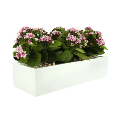 Kalanchoe Arrangement in Fiberstone Planter