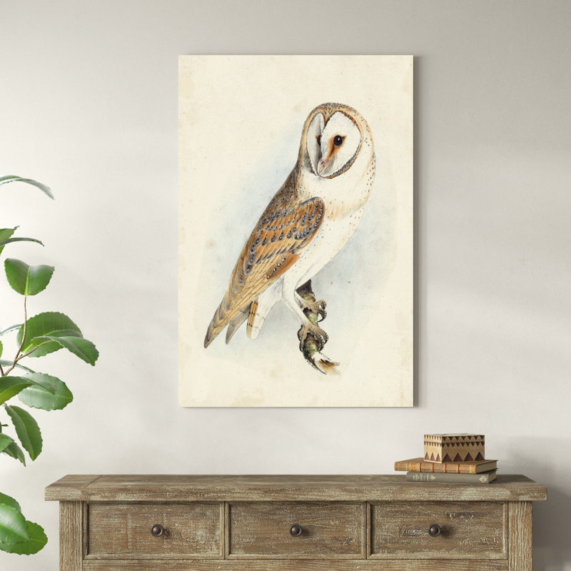 Meyer Barn Owl, H 48 po x l 32 po x P 1,25 po