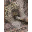 Oriental 150cm X 225cm Area Rug