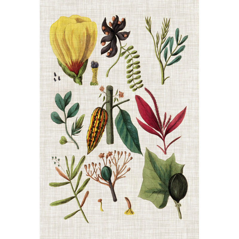 Floral Assemblage I by Vision Studio - Wrapped Canvas Art Prints, 46cm H x 30cm W