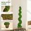150cm Plant