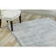 Oriental Indoor Rug