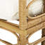 Chaise d'appoint en rotin avec coussins 32,5 po Christopher Knight Home