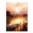Modern & Contemporary-31453351