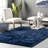 Loni Solid Machine Washable Shag Area Rug for Living Room Bedroom Dining Room Nursery-2016735307