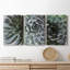Zen Succulent I - Ensemble de 3 reproductions sur toiles tendues-360759065