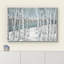 Aspen, bouleau blanc, forêt, hiver, paysage, plantes, nature, paysage rustique, frais, BA03-99543063-100095182