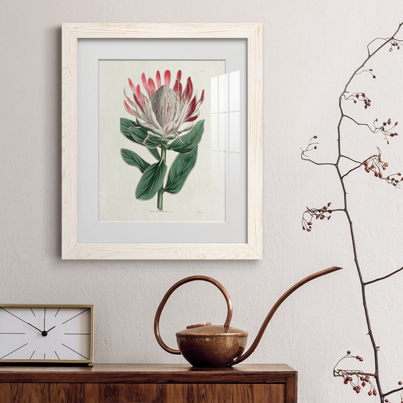 Protea N13 - Peinture encadrée, Cadre blanc, H 20 po x l 17 po x P 1,5 po