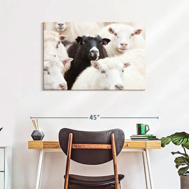 Brampt Standout Black Sheep, 24" H x 36" W