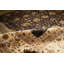 Oriental Area Rug