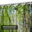 Rideau de douche avec 12 crochets-1358444024