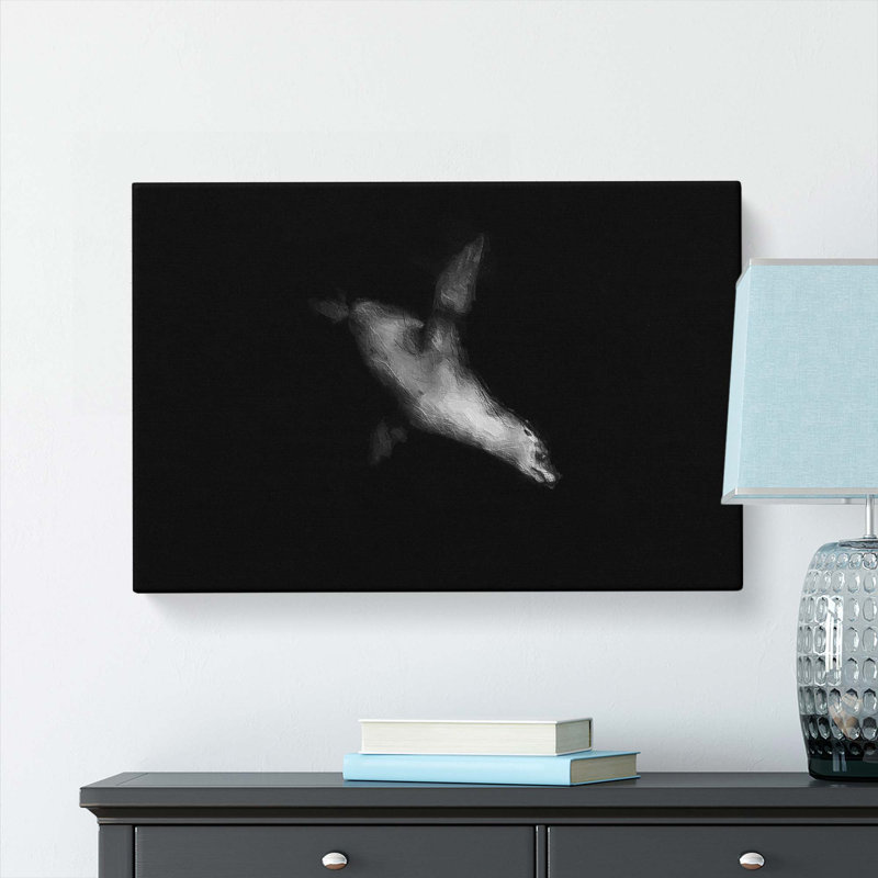 Sea Lion - Wrapped Canvas, 35cm H x 50cm W x 3cm D