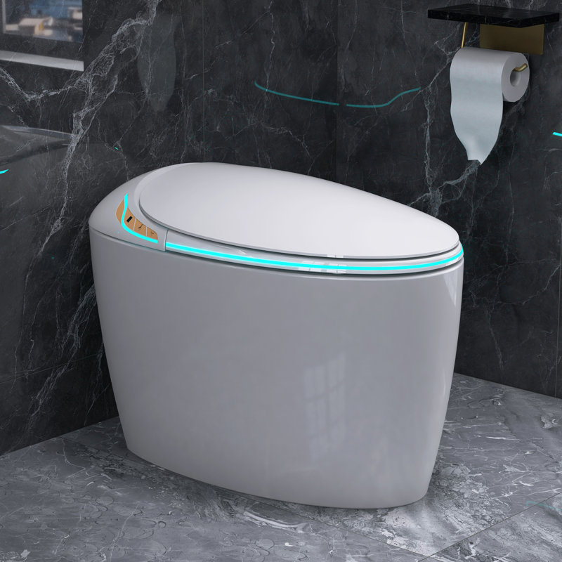Toilette intelligente allongée en forme d'œuf avec siège de bidet, ouverture et chasse automatique, siège chauffant ajusté, eau chaude et sécheuse, veilleuse, boutons latéraux
