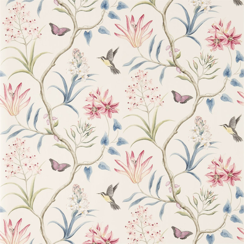 Clementine Wallpaper, Indienne