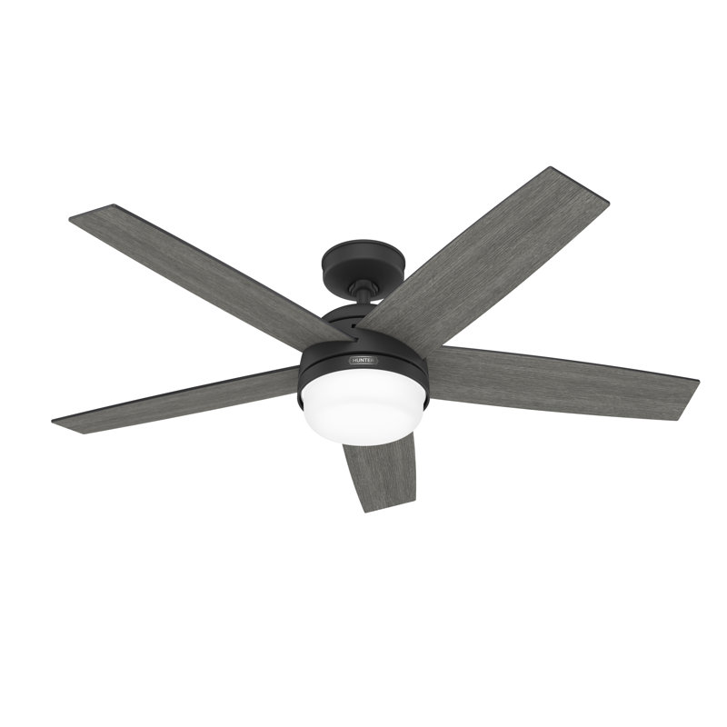 Hunter 52 inch Damp Rated Ceiling Fan with LED Light Kit and Handheld Remote, Matte Black, Matte Black/Dark Gray Oak