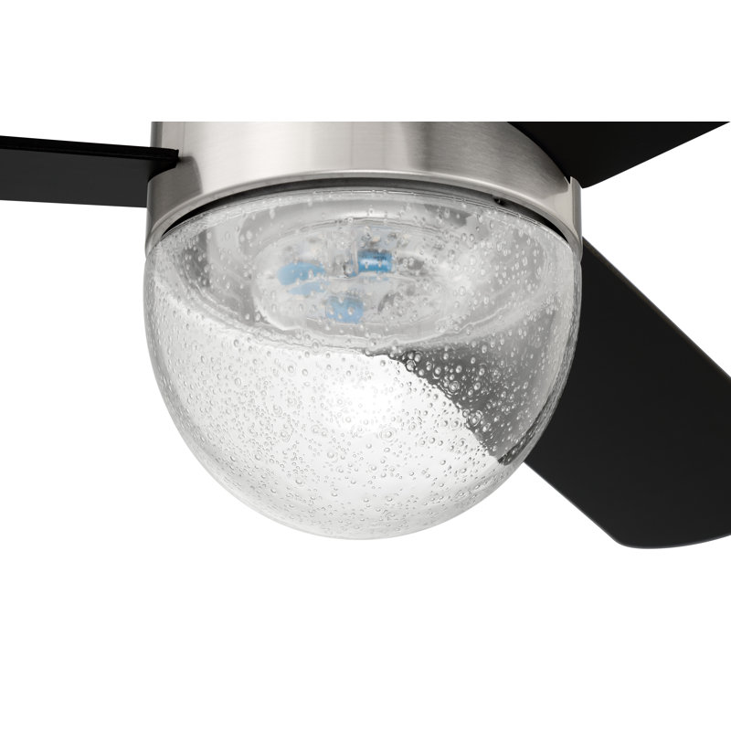 Amandus 52'' Ceiling Fan with LED Lights