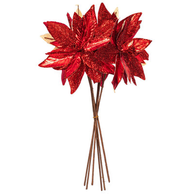 Tiges de poinsettia