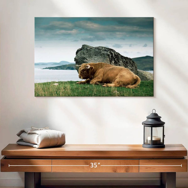 Brampt Highlander Bull, 16" H x 24" W