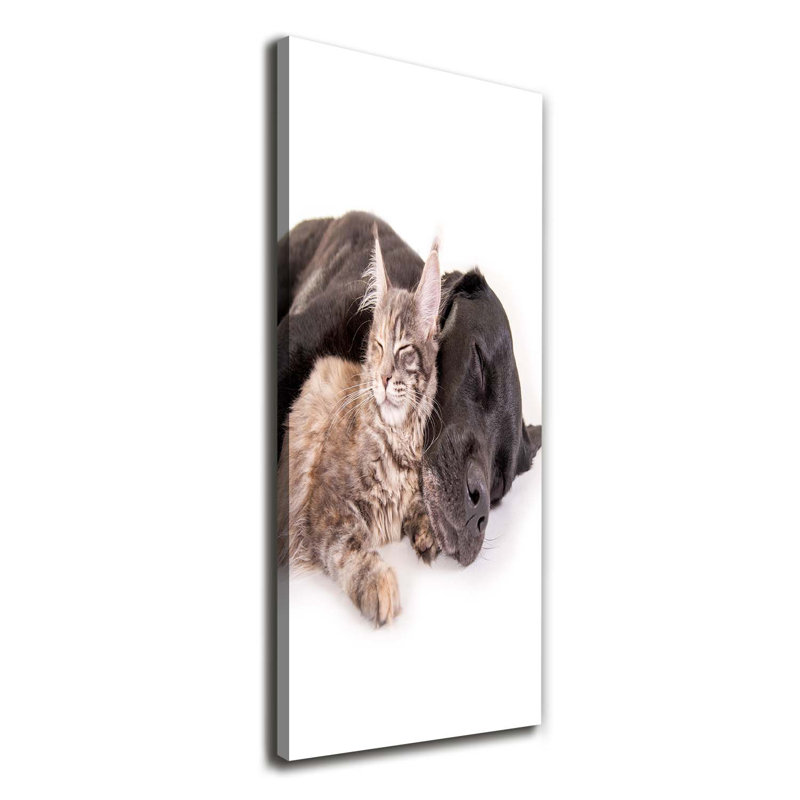 Dog And Cat - Wrapped Canvas Print