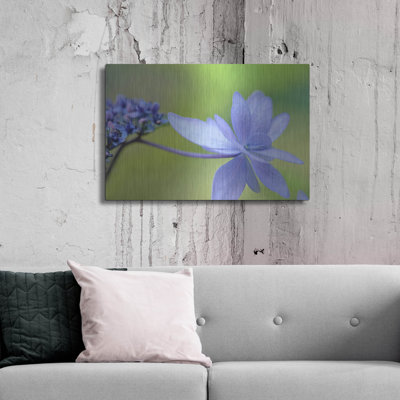«Blue HCora Nieleydrangea» par Cora Niele