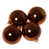 Brown Shiny is out of stock