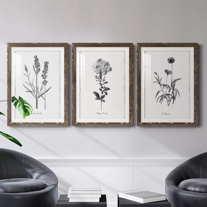 Simply Imperial - Ensemble de 3 cadres photo, H 20 po x l 51 po x P 1,5 po, Noyer