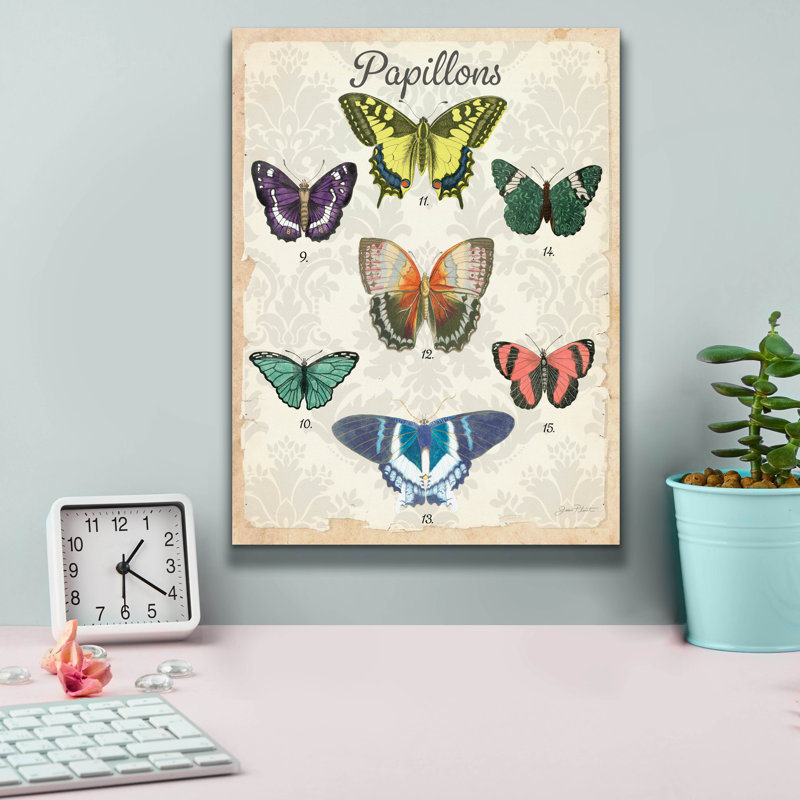 «Epic Graffiti« Beautiful Papillon Study B »par Jean Plout, art mural sur toile, 12 po x 16 po, H 16 po x l 12 po