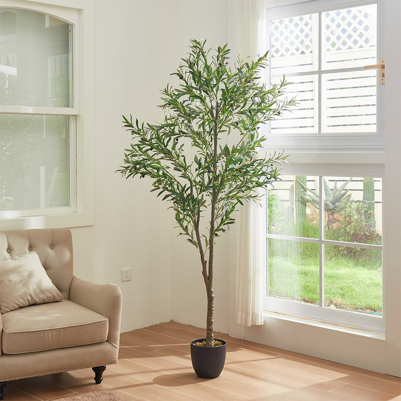 210cm Faux Bonsai Plant in Fabric；Plastic Freestanding