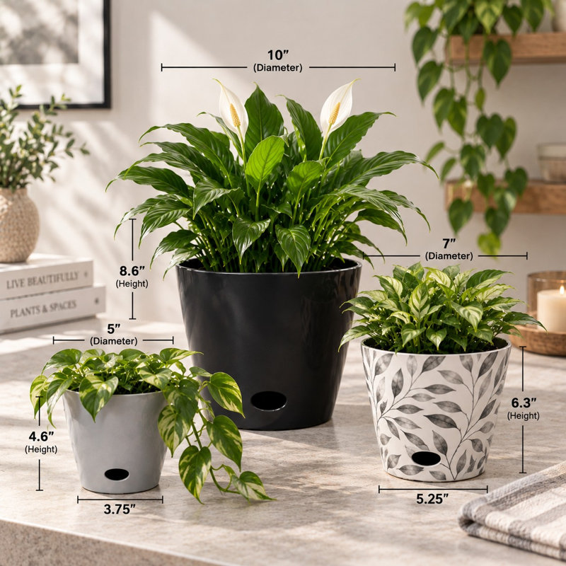 Ensemble de pots à fleurs 3 pièces Bamboo Blooms - 10, 7 et 5 pouces