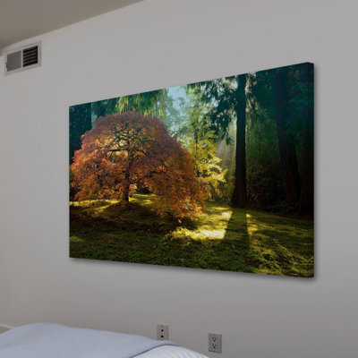 «In The Gentle Autumn Light» par Don Schwartz, reproduction d'art sur toile tendue