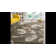 Chanhassen Shag Performance Floral Rug