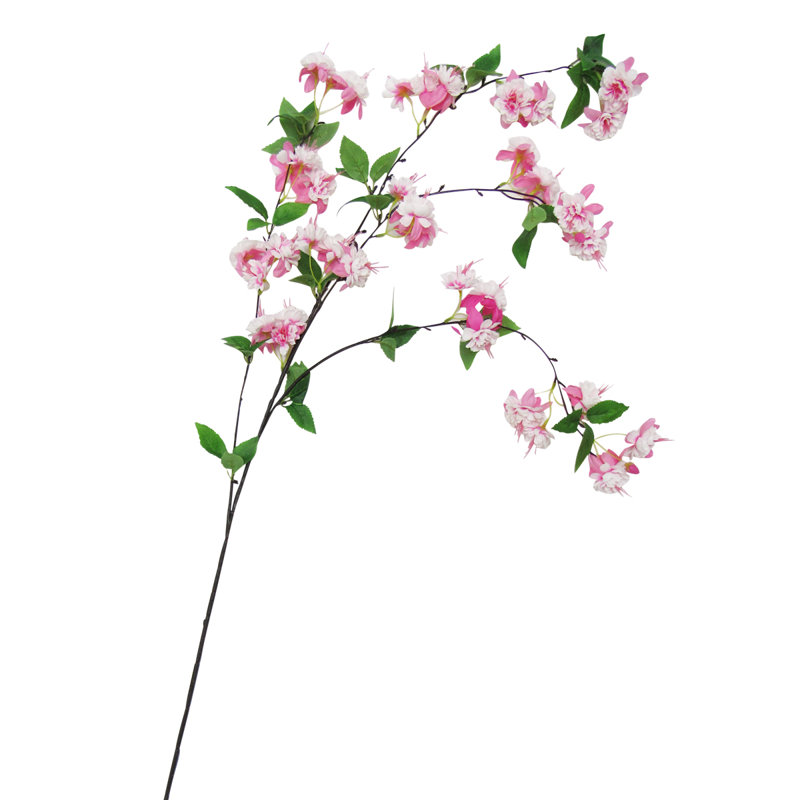Arrangement, Fuchsia