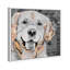 « love golden retriever », impression sur toile tendue-16375998-66813065