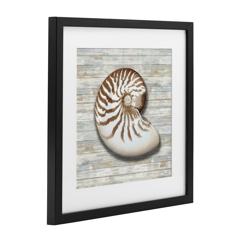 «Cowrie Shell on Shiplap», reproduction par Amber Sterling, H 13 po x l 13 po, Cadre noir minuit